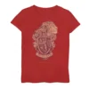 Girls 7-16 Harry Potter Gryffindor Detailed Crest Tee -Harry Potter 3999885
