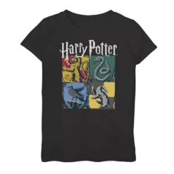 Girls 7-16 Harry Potter Hogwarts Houses Vintage Collage Tee