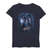 Girls 7-16 Harry Potter And The Chamber Of Secrets Harry Portrait Tee -Harry Potter 4000003
