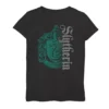 Girls 7-16 Harry Potter Slytherin Dark Badge Logo Tee -Harry Potter 4000045