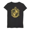 Girls 7-16 Harry Potter Hufflepuff Logo Tee