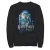 Men's Harry Potter Half-Blood Prince Luna Lovegood Poster Fleece Graphic Pullover -Harry Potter 4251695