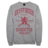 Men's Harry Potter Deathly Hallows 2 Gryffindor Quidditch Fleece Pullover -Harry Potter 4251776