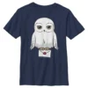 Boys 8-20 Harry Potter Hedwig Cute Cartoon Portrait Graphic Tee -Harry Potter 4414581