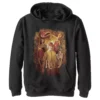 Boys 8-20 Harry Potter And The Chamber Of Secrets Ron Portrait Pullover Graphic Hoodie -Harry Potter 4414626