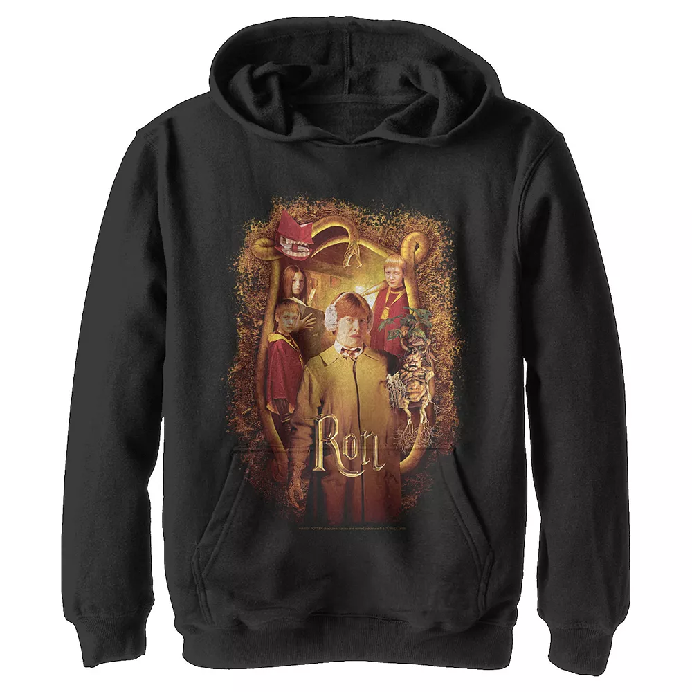 Boys 8-20 Harry Potter And The Chamber Of Secrets Ron Portrait Pullover Graphic Hoodie 3 Boys 8-20 Harry Potter And The Chamber Of Secrets Ron Portrait Pullover Graphic Hoodie