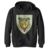 Boys 8-20 Harry Potter Durmstrang Crest Pullover Graphic Hoodie -Harry Potter 4414628