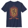 Boys 8-20 Harry Potter Gryffindor Quidditch Shield Graphic Tee -Harry Potter 4414669