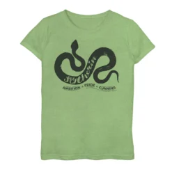 Girls 7-16 Harry Potter Ambition Pride Graphic Tee