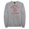 Harry Potter Men's Deathly Hollows 2 Hogwarts Alumni Logo Sweatshirt -Harry Potter 4461406