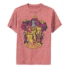 Boys 8-20 Harry Potter Gryffindor House Crest Graphic Tee -Harry Potter 4547779