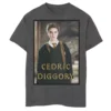 Boys 8-20 Harry Potter Cedric Diggory Graphic Tee -Harry Potter 4547783