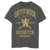 Boys 8-20 Harry Potter Gryffindor Quidditch Graphic Tee -Harry Potter 4547809