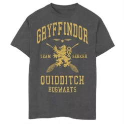 Boys 8-20 Harry Potter Gryffindor Quidditch Graphic Tee