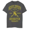 Boys 8-20 Harry Potter Hufflepuff Quidditch Seeker Graphic Tee -Harry Potter 4547815