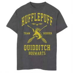 Boys 8-20 Harry Potter Hufflepuff Quidditch Seeker Graphic Tee
