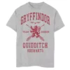 Boys 8-20 Harry Potter Gryffindor Quidditch Seeker Graphic Tee -Harry Potter 4547817