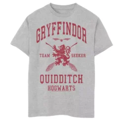 Boys 8-20 Harry Potter Gryffindor Quidditch Seeker Graphic Tee