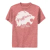Boys 8-20 Harry Potter Gryffindor "Determination" Graphic Tee