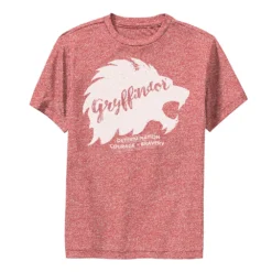 Boys 8-20 Harry Potter Gryffindor "Determination" Graphic Tee