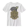Boys' 8-20 Harry Potter Hufflepuff House Crest Graphic Tee -Harry Potter 4901309 White