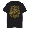 Boys 8-20 Harry Potter Hufflepuff Dark Detailed Crest Graphic Tee -Harry Potter 4924168