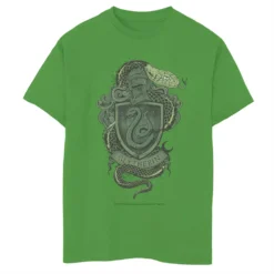 Boys 8-20 Harry Potter Slytherin Detailed House Crest Graphic Tee