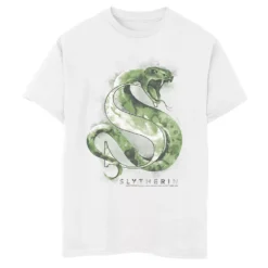 Boys 8-20 Harry Potter Slytherin House Watercolor Graphic Tee
