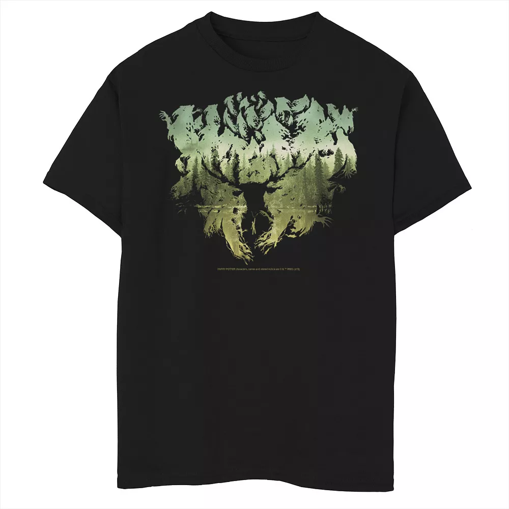 Boys 8-20 Harry Potter Patronus Dementor Silhouette Graphic Tee 3 Boys 8-20 Harry Potter Patronus Dementor Silhouette Graphic Tee