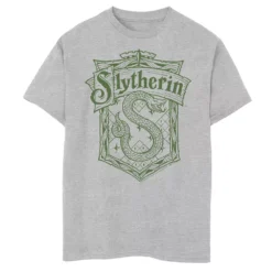 Boys 8-20 Harry Potter Slytherin Detailed Crest Graphic Tee