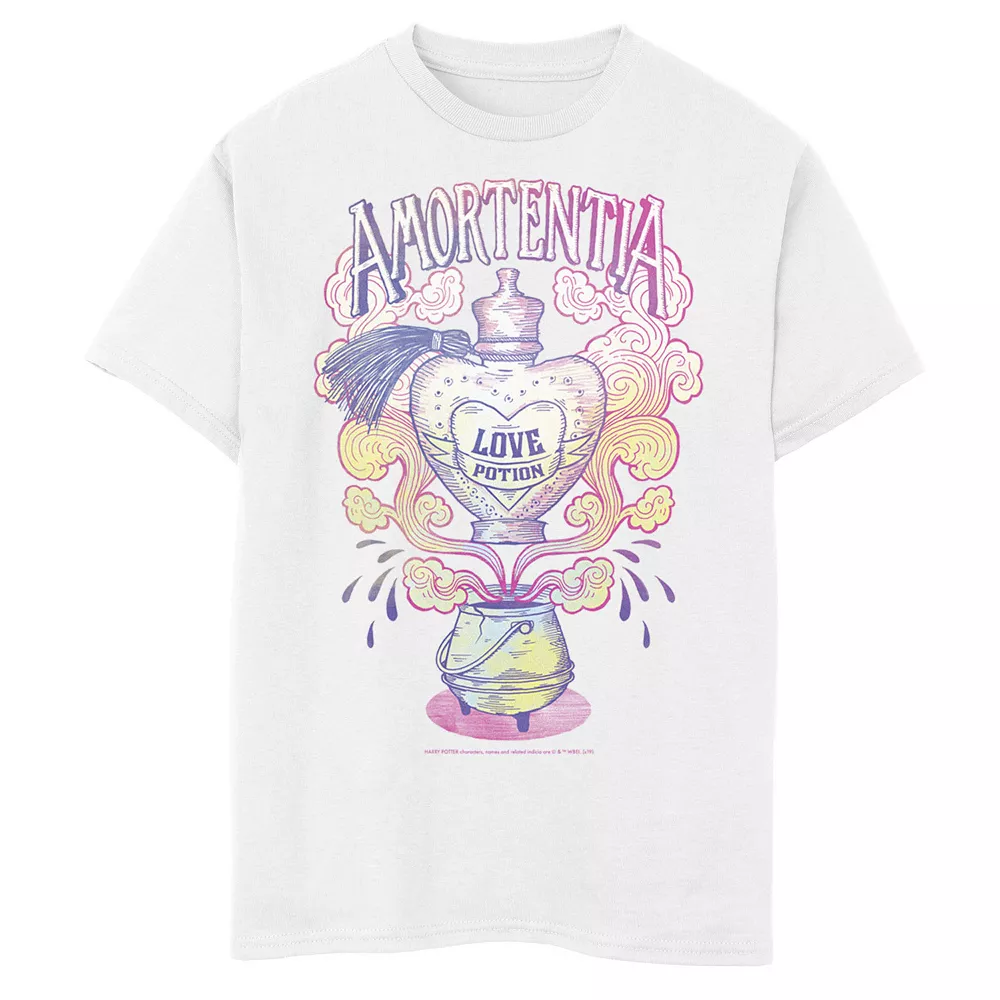 Boys 8-20 Harry Potter Amortentia Love Potion Gradient Logo Graphic Tee 3 Boys 8-20 Harry Potter Amortentia Love Potion Gradient Logo Graphic Tee