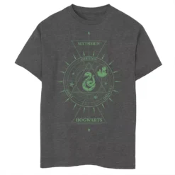 Boys 8-20 Harry Potter Slytherin Geometric Attribute Logo Graphic Tee