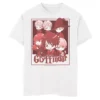 Boys 8-20 Harry Potter Gryffindor House Group Shot Anime Graphic Tee