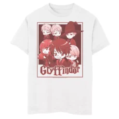 Boys 8-20 Harry Potter Gryffindor House Group Shot Anime Graphic Tee