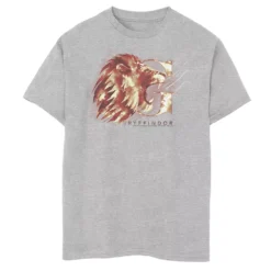 Boys 8-20 Harry Potter Gryffindor House Watercolor Graphic Tee