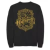 Men's Harry Potter Hufflepuff Dark Detailed Crest Sweatshirt -Harry Potter 5058041
