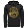Men's Harry Potter Hufflepuff Dark Detailed Crest Hoodie -Harry Potter 5058042