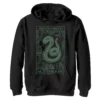 Boys 8-20 Harry Potter Slytherin Vintage Poster Graphic Fleece Hoodie