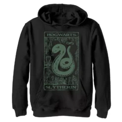Boys 8-20 Harry Potter Slytherin Vintage Poster Graphic Fleece Hoodie