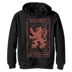 Boys 8-20 Harry Potter Gryffindor Vintage Poster Graphic Fleece Hoodie