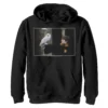 Boys 8-20 Harry Potter Harry And Hedwig Portrait Graphic Fleece Hoodie -Harry Potter 5073733