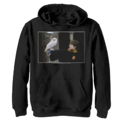 Boys 8-20 Harry Potter Harry And Hedwig Portrait Graphic Fleece Hoodie