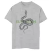 Boys 8-20 Harry Potter Slytherin Snake Sketch Graphic Tee