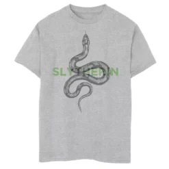 Boys 8-20 Harry Potter Slytherin Snake Sketch Graphic Tee