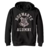 Boys 8-20 Harry Potter Hogwarts Alumni Crest Graphic Fleece Hoodie -Harry Potter 5116125