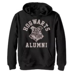 Boys 8-20 Harry Potter Hogwarts Alumni Crest Graphic Fleece Hoodie