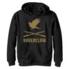 Boys 8-20 Harry Potter Ravenclaw Crossed Wands Logo Graphic Fleece Hoodie -Harry Potter 5116146