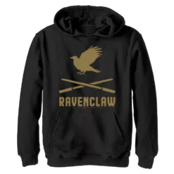Boys 8-20 Harry Potter Ravenclaw Crossed Wands Logo Graphic Fleece Hoodie