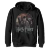 Boys 8-20 Harry Potter And The Deathly Hallows Group Shot Graphic Fleece Hoodie -Harry Potter 5116153