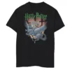 Boys 8-20 Harry Potter Book Cover Poster Graphic Tee -Harry Potter 5116166